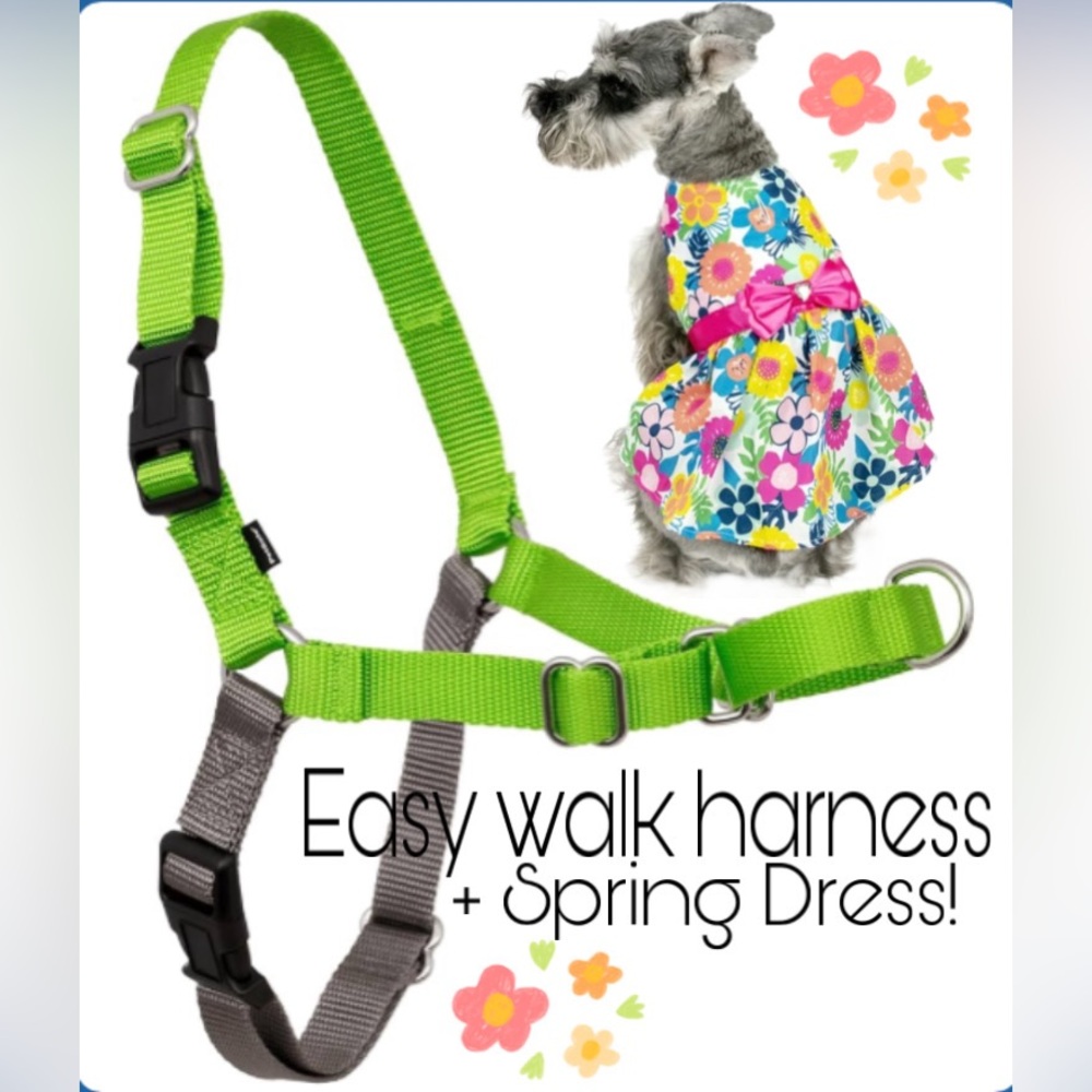 Easy Walk Dog Harness + Spring Dress